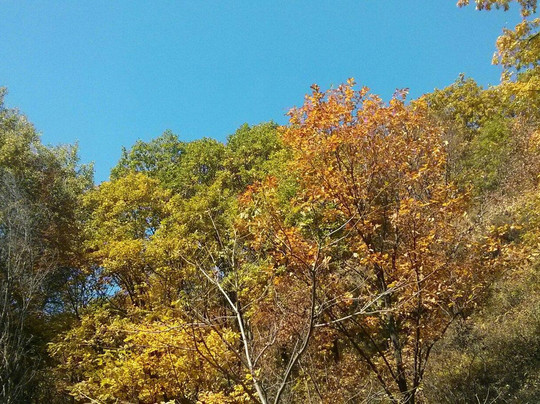 喇叭沟门国家森林公园-北京市必去景点