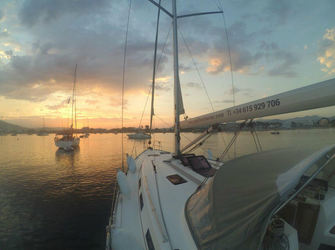 Papillon Charter