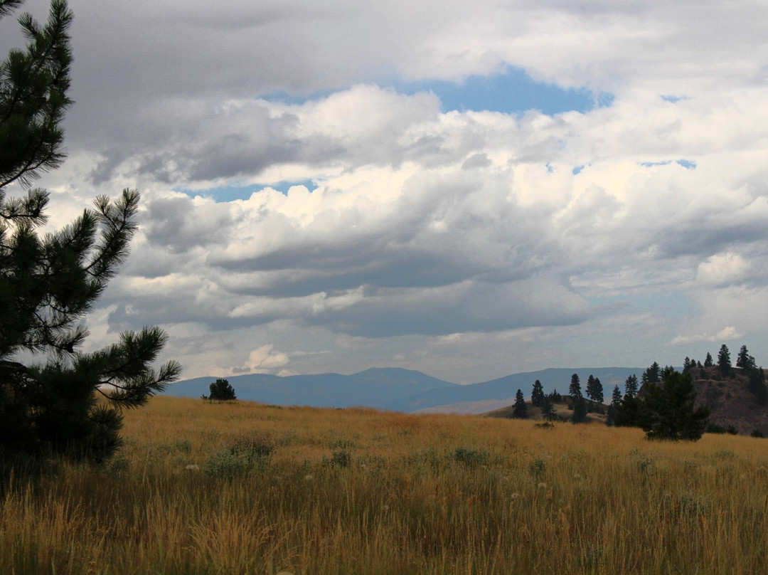 Blue Mountain Recreational Area-米苏拉必去景点