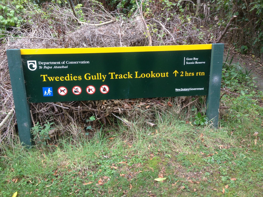 Tweedies Gully Track景点图片