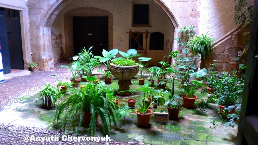 Palacio del Marques de Mirabel景点图片