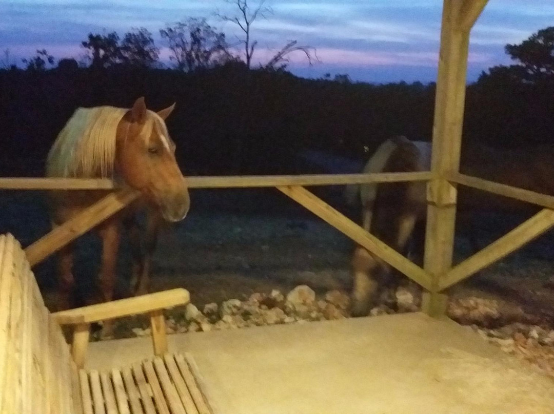 Bear Mountain Riding Stable & Dude Ranch-尤里卡斯普林斯必去景点