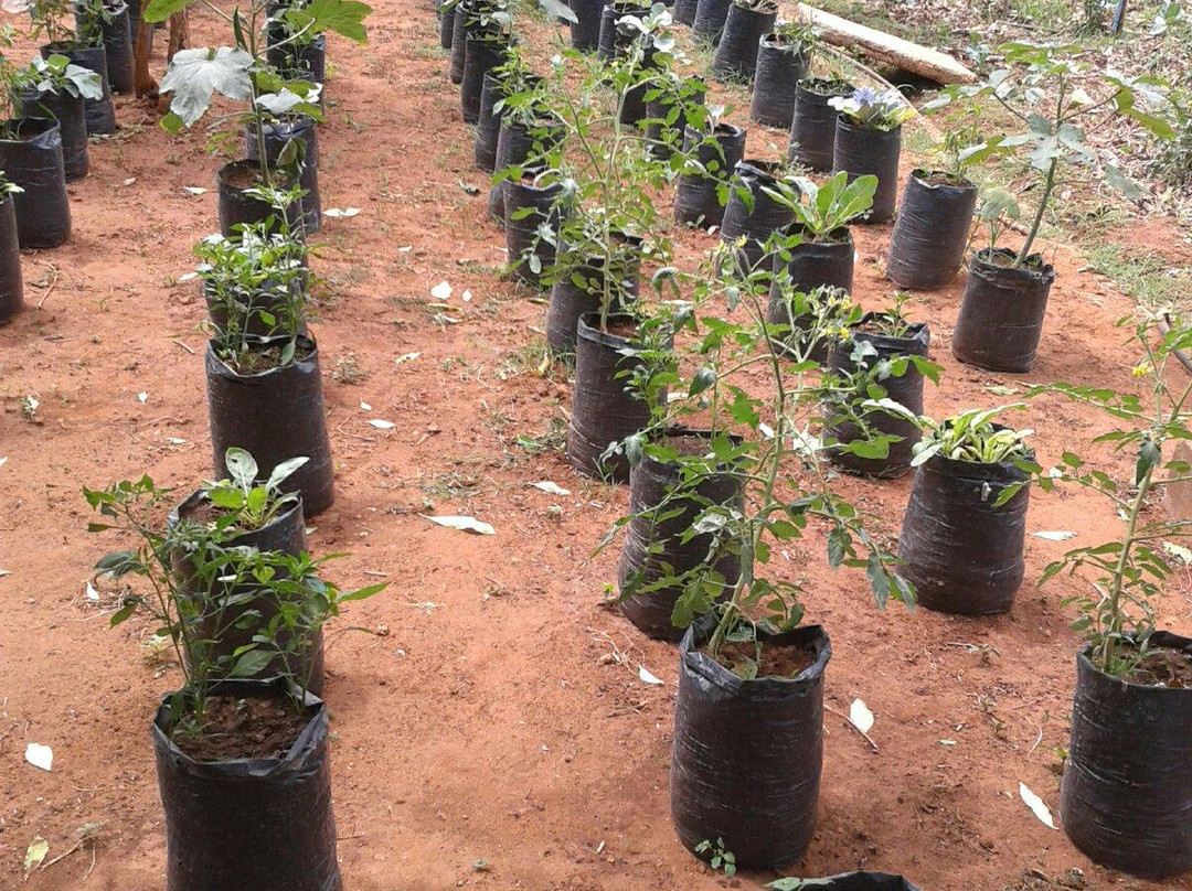 Kilinochchi酒店住宿-A9Spot