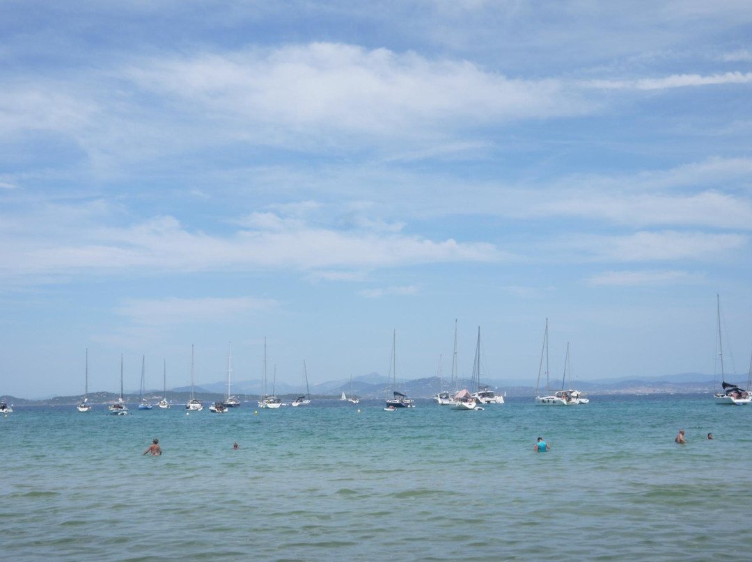 Plage de la Courtade-Porquerolles Island必去景点