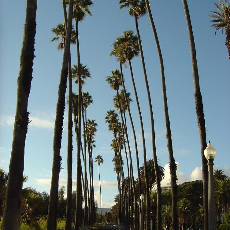 圣莫妮卡海滩-圣莫尼卡必去景点