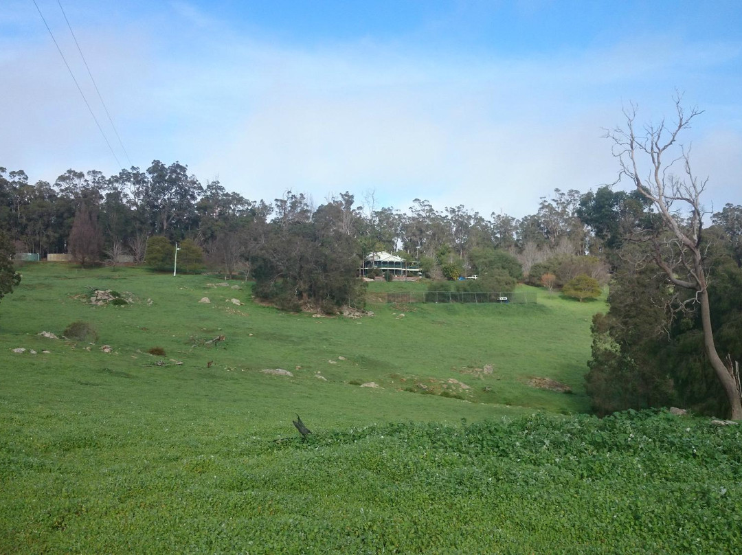 King Tree Lodge主图