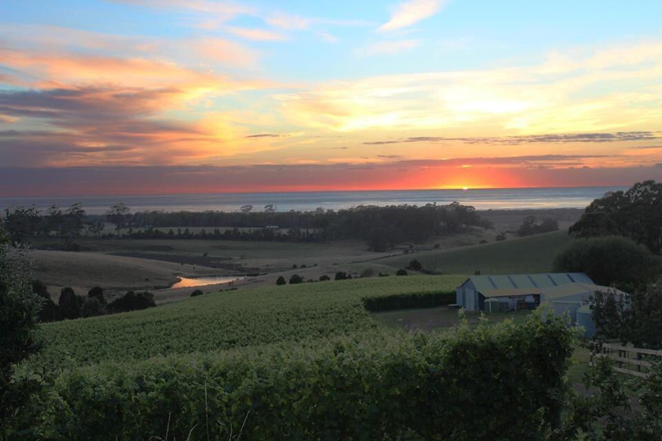 Cape Bernier Vineyard景点图片