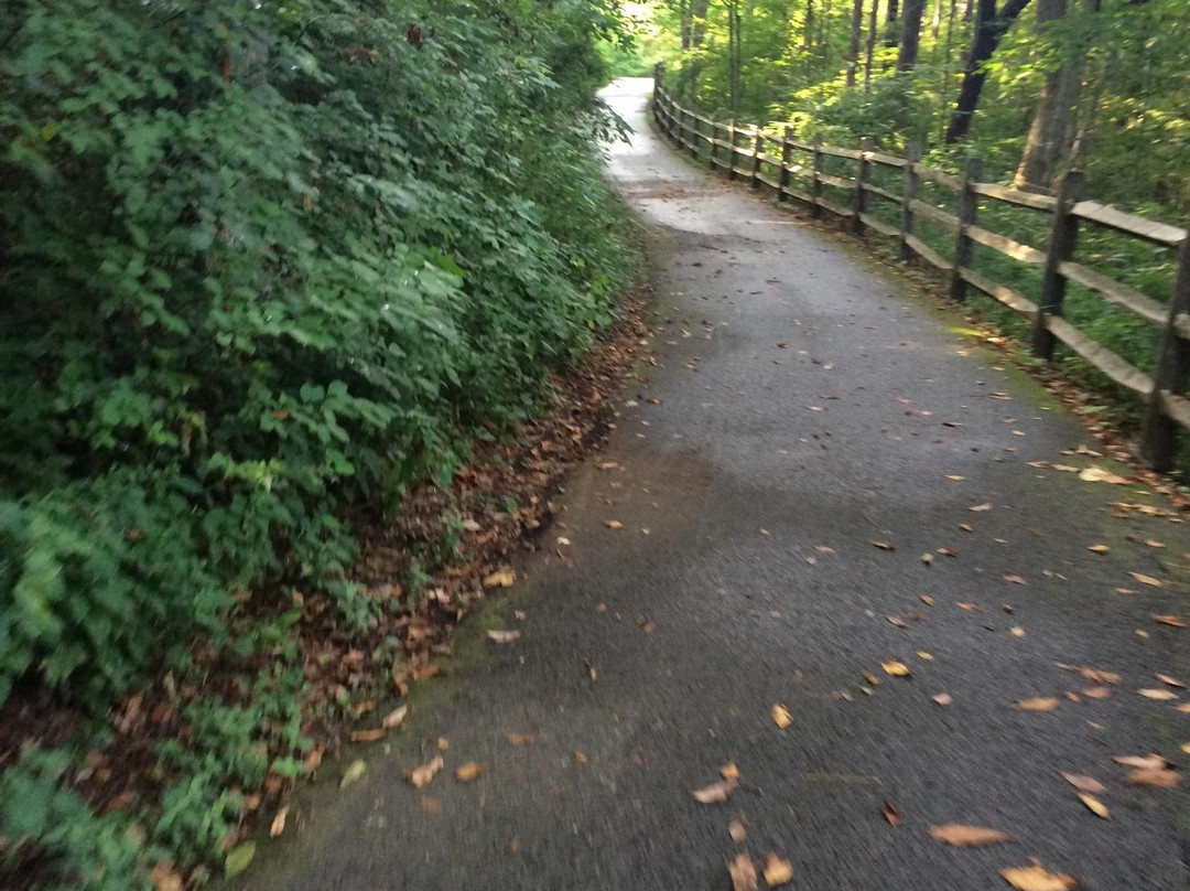 Wildwood Park-雷德福必去景点