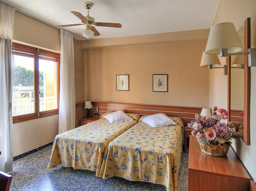 Hotel Vista Alegre主图
