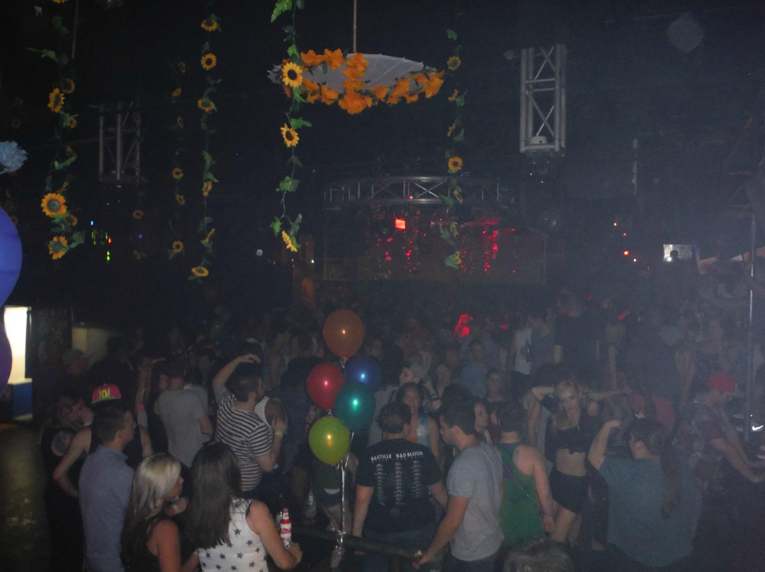 Necto-安娜堡必去景点