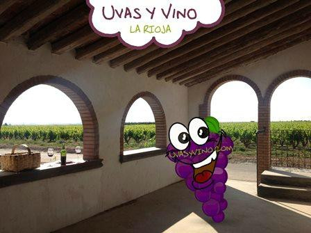 Uvas y Vino景点图片