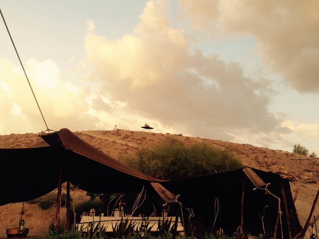 No Limit Tours - Day Tours-马拉喀什必去景点