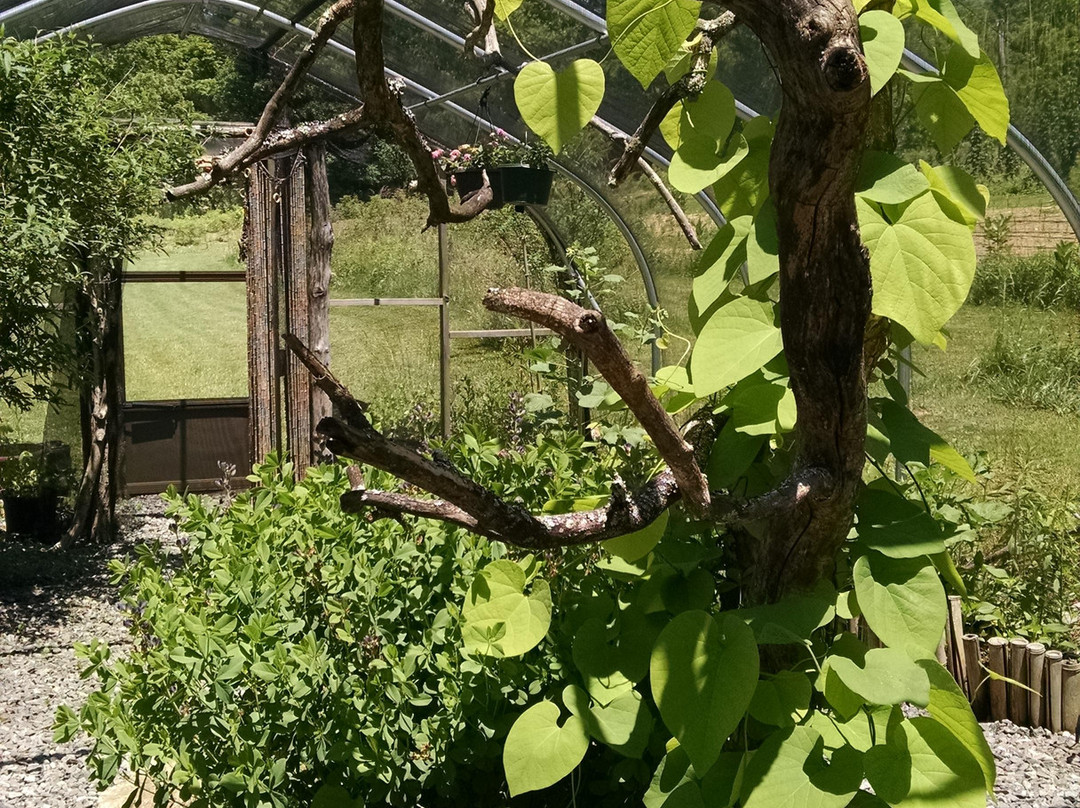 Hop'n Blueberry Farm-Black Mountain必去景点