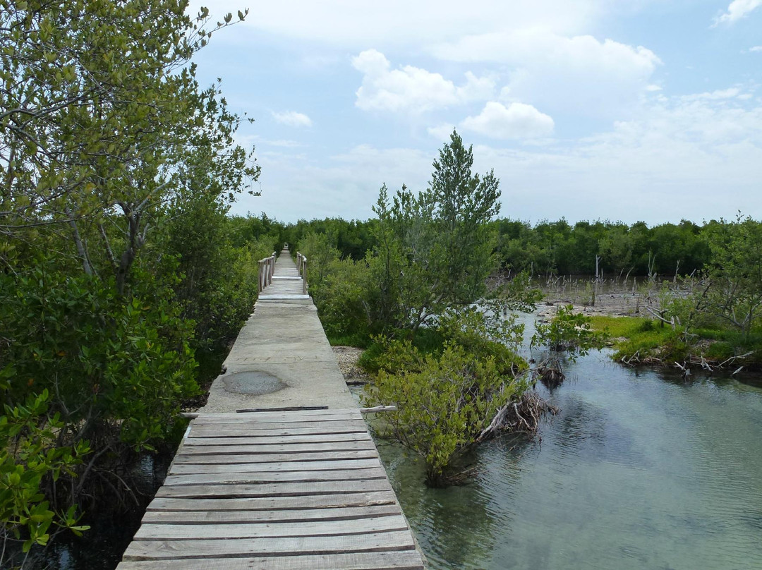 Parque Nacional Desembarco del Granma景点图片