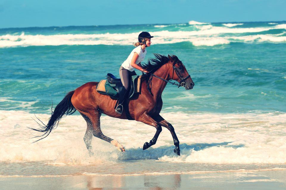 Centre Equestre Marina - Private Day Tours景点图片