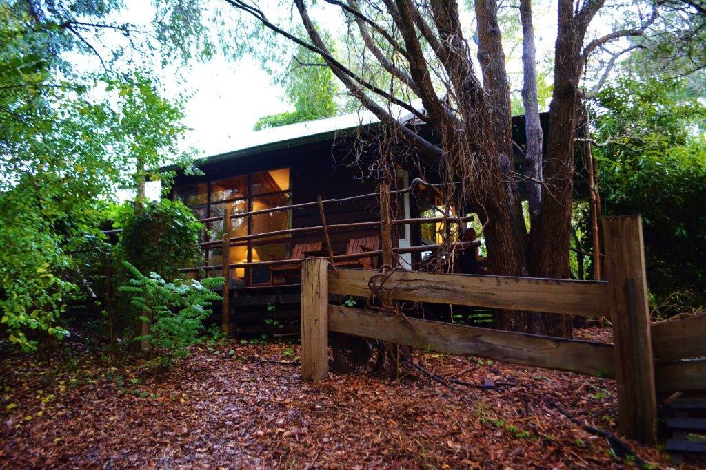 那纳普黑凤头鹦鹉小屋