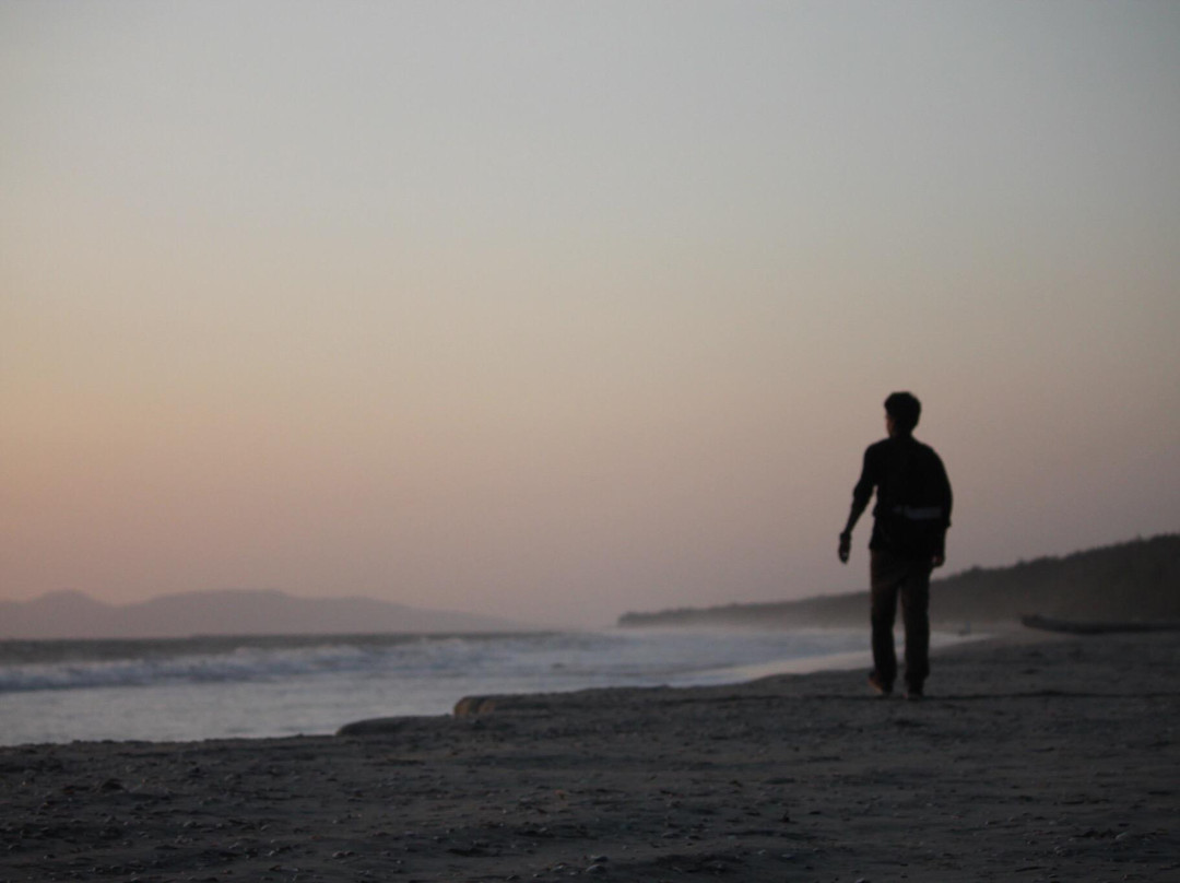 Meenkunnu Beach景点图片