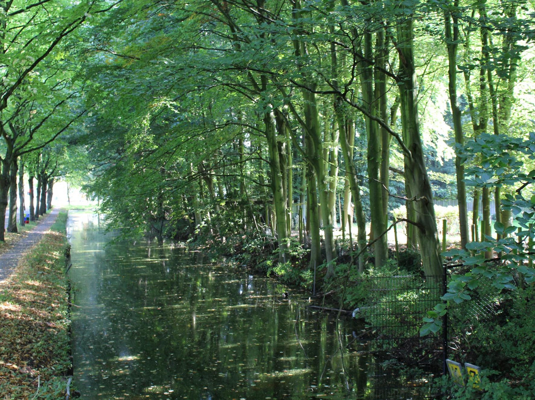 Rijswijkse Bos景点图片