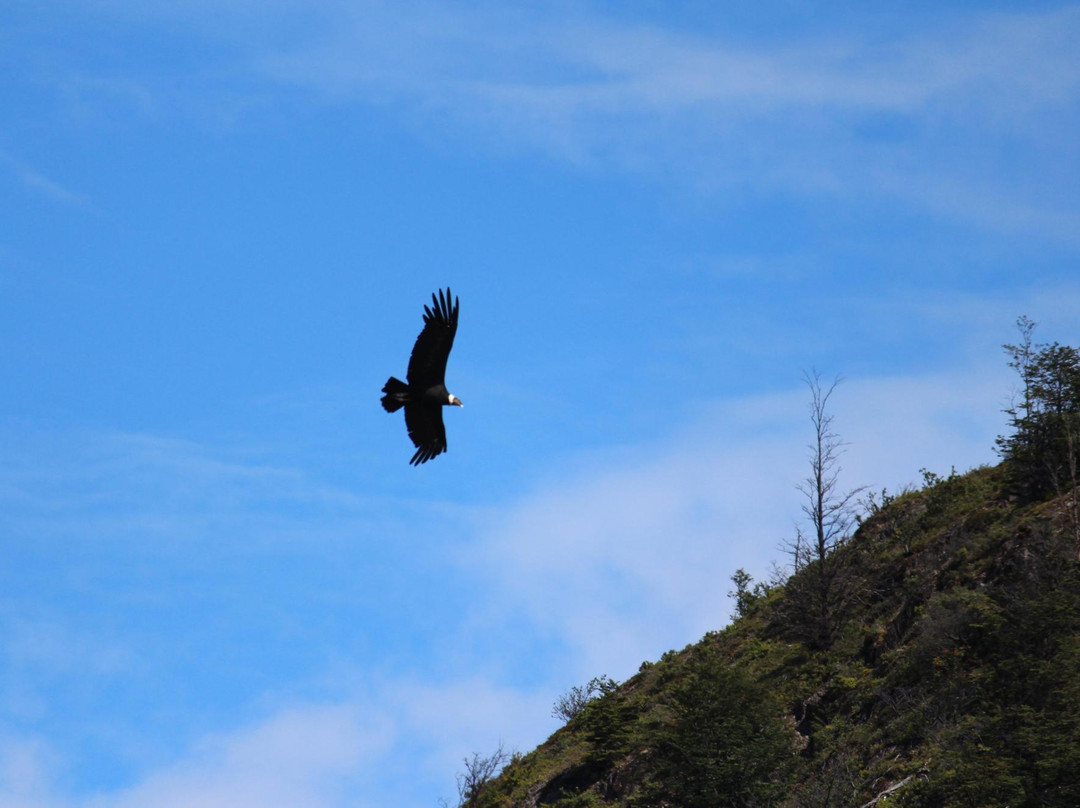 The Condors Nests-纳塔莱斯港必去景点