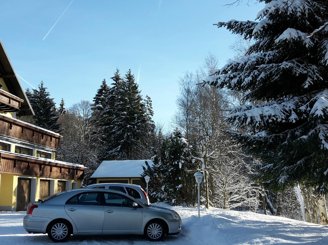 Gasthof Pension Wiesengrund主图