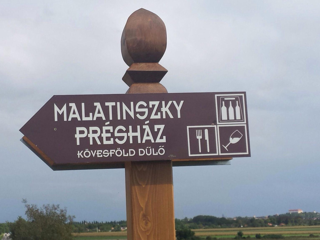 Malatinszky Kuria Organic Wine Estate-Siklos必去景点