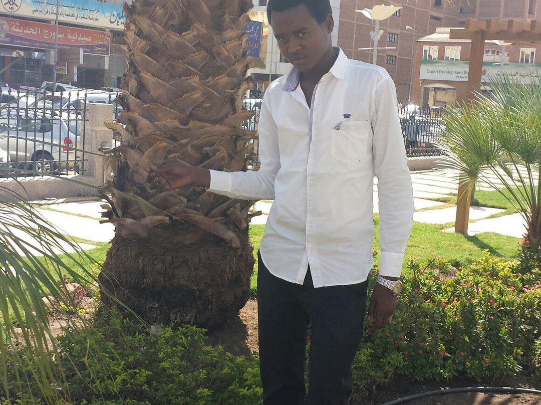 Khartoum War Cemetery-喀土穆必去景点