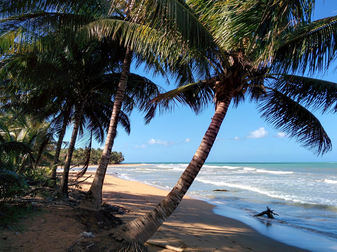 Luquillo旅游攻略图片