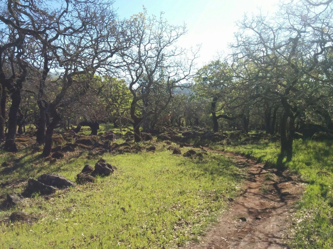 Annadel State Park景点图片