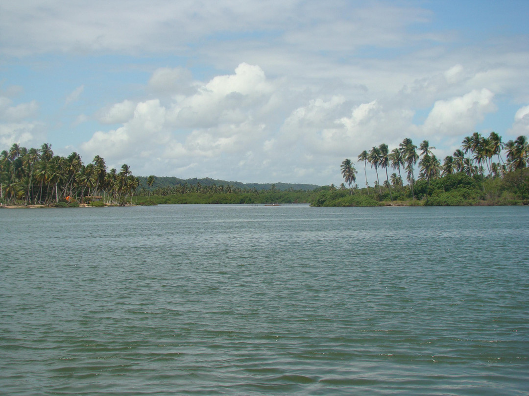 Manguaba Lake-Maceio必去景点