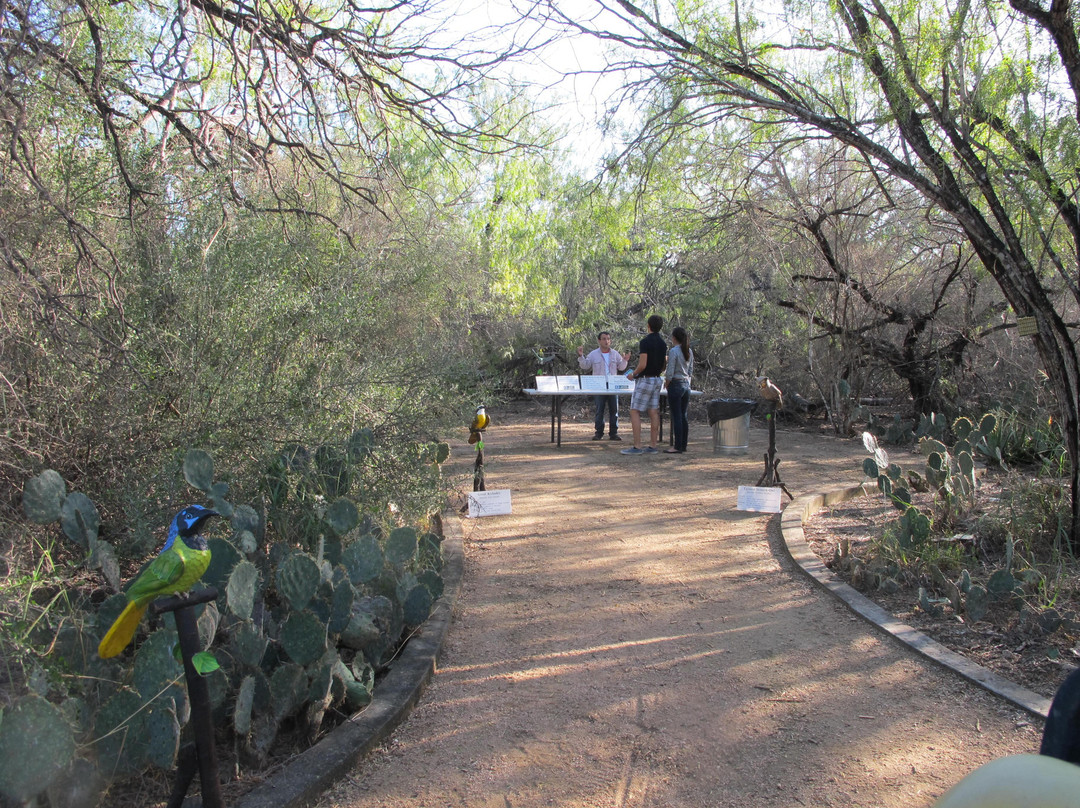 McAllen Nature Center-麦卡伦必去景点