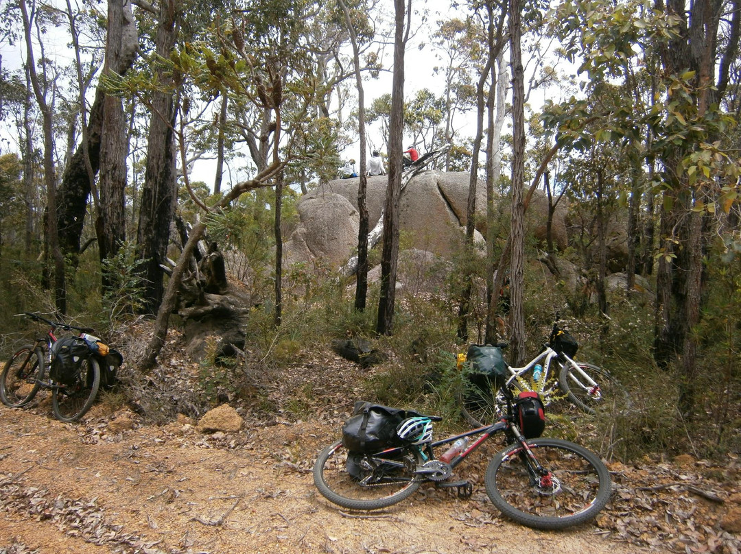 Rock and Roll Mountain Biking景点图片