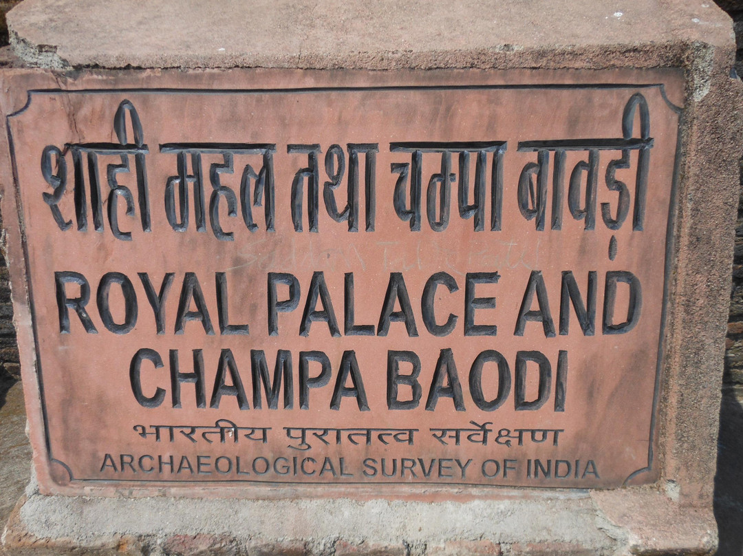 Champa Baoli景点图片