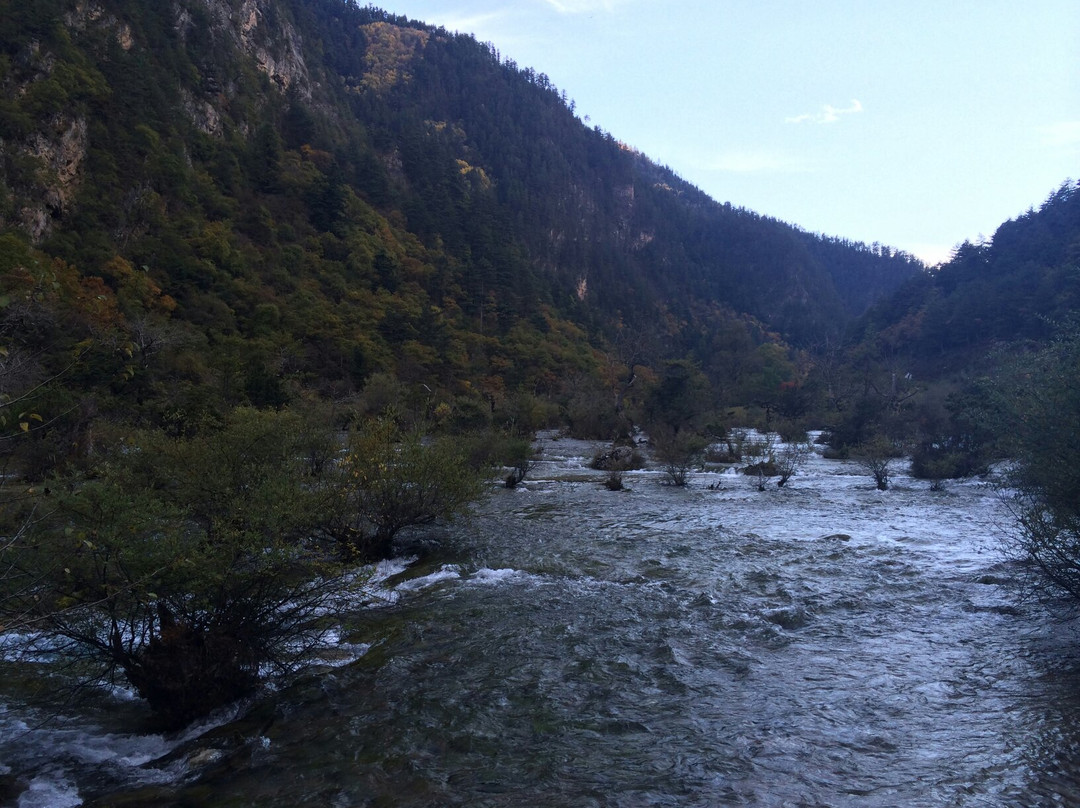 盆景滩景点图片