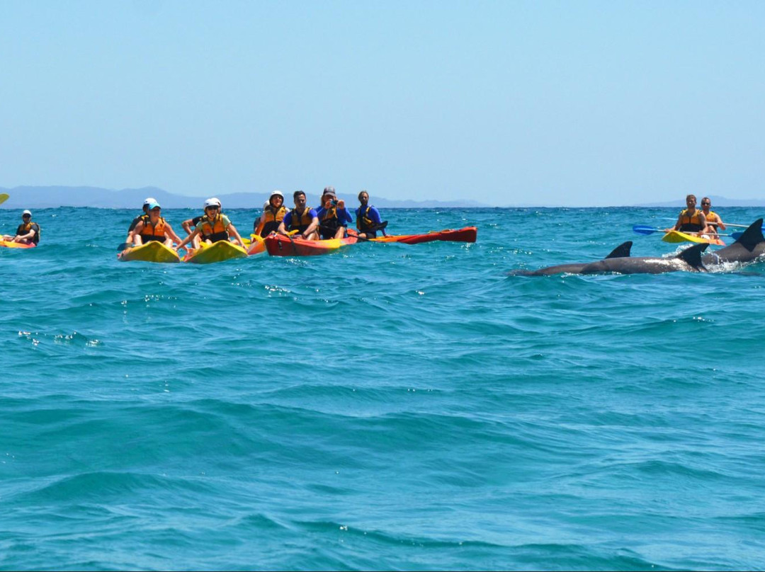 Go Sea Kayak at Byron Bay景点图片