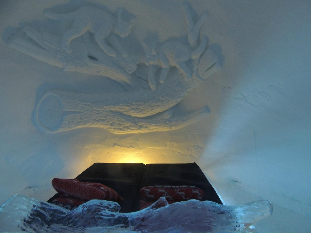 Husky Tours By Snowhotel Kirkenes-希尔克内斯必去景点