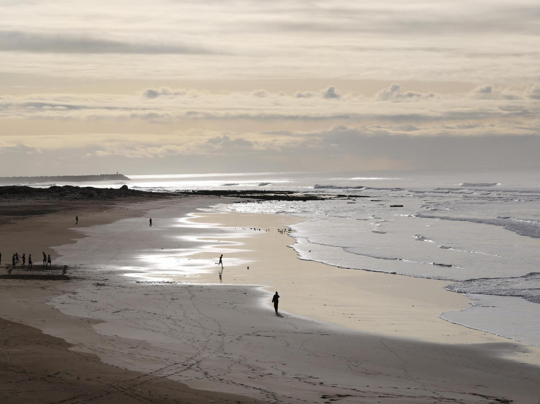 El Ouatia旅游攻略图片