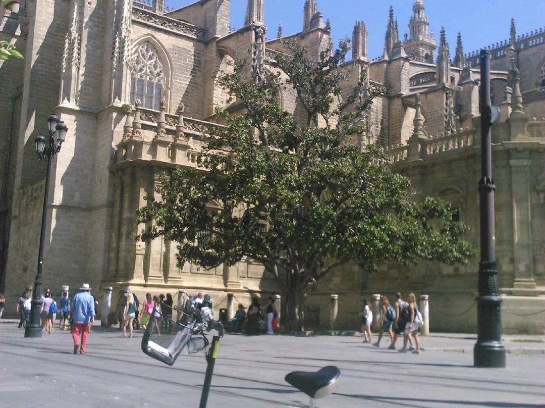 City Bike Tour Sevilla-塞维利亚必去景点