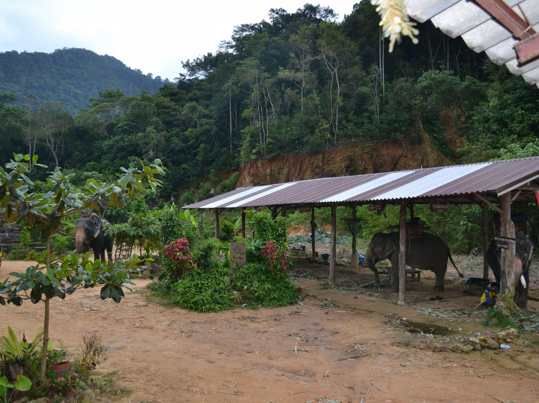 Ban Kwan大象营-象岛必去景点