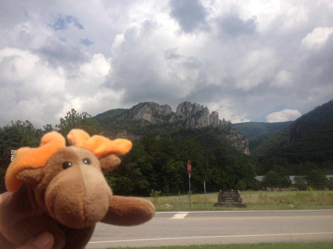 Seneca Rocks Discovery Center-Seneca Rocks必去景点