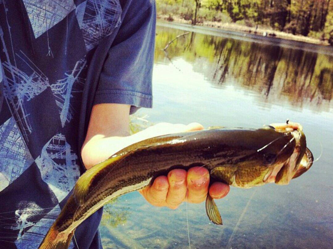 Heart Lake Conservation Park-布兰普敦必去景点