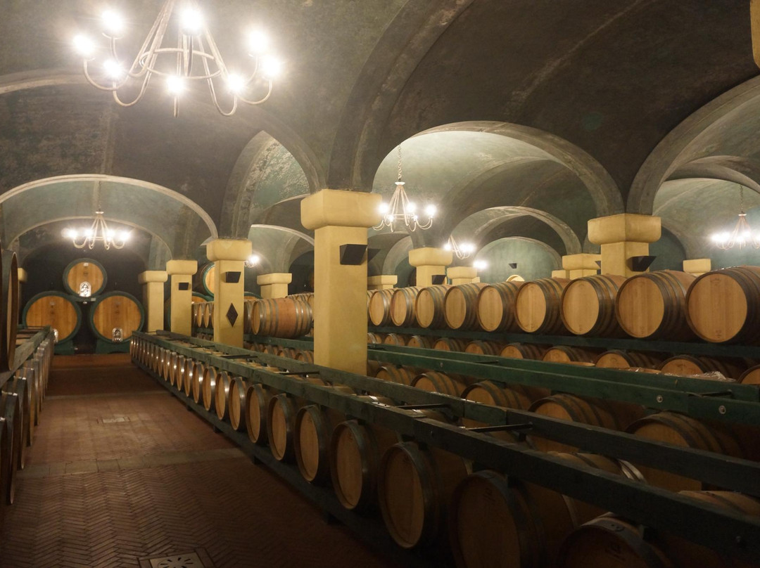 Artemisia Viaggi-蒙塔尔奇诺必去景点