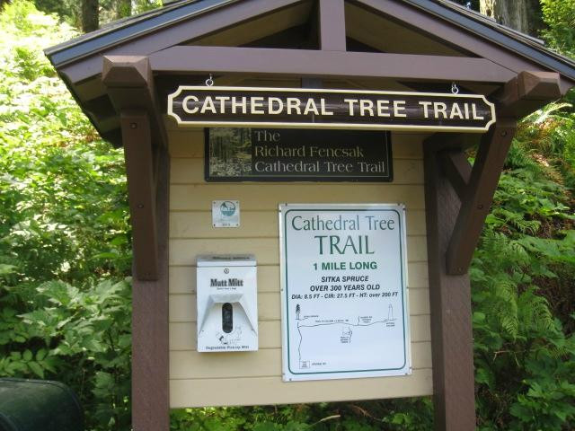 Cathedral Tree Trail-阿斯托里亚必去景点