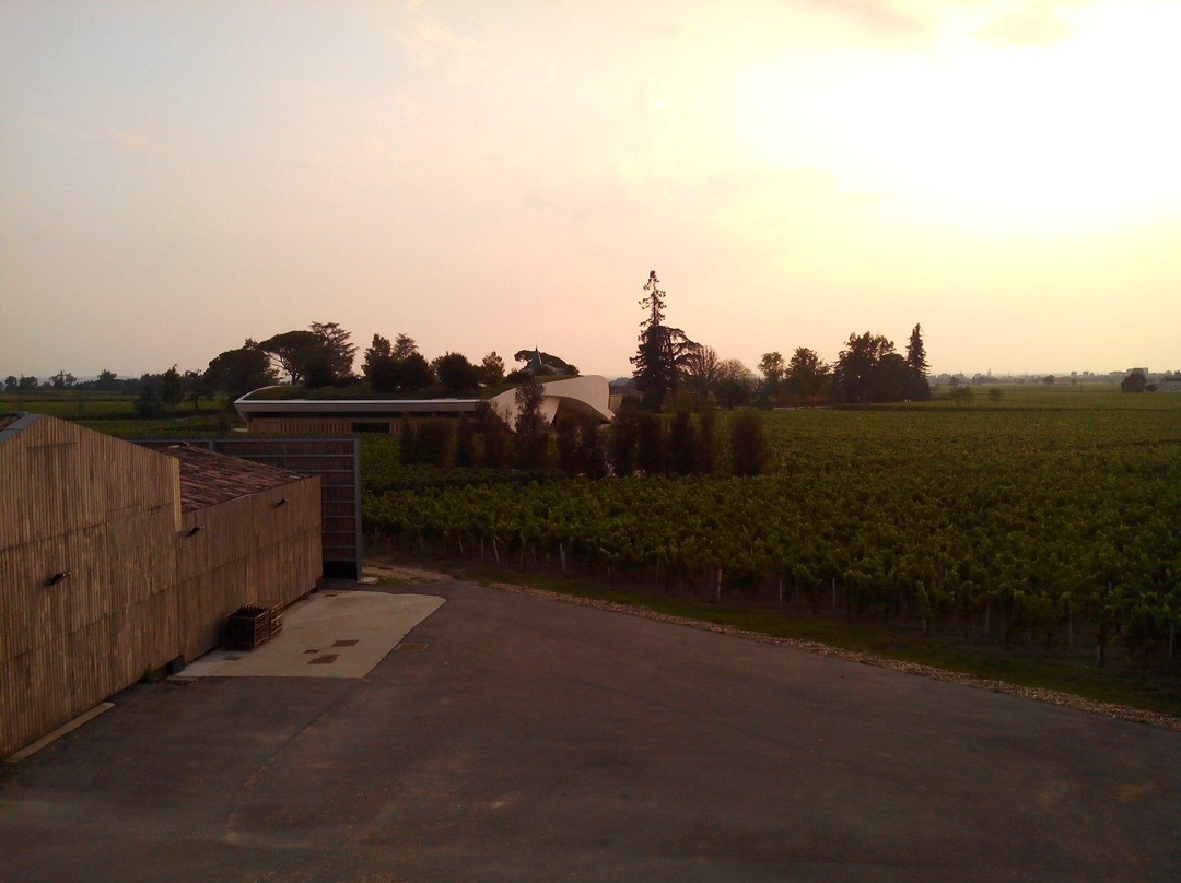 Château La Dominique-圣埃美隆必去景点