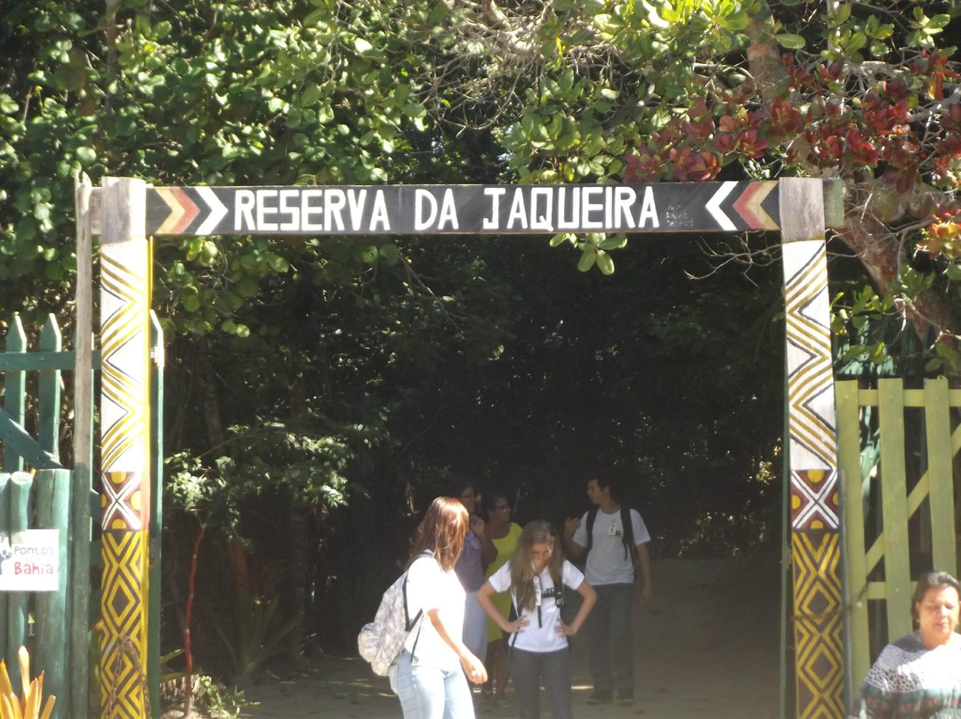 Reserva Pataxo da Jaqueira-Porto Seguro必去景点