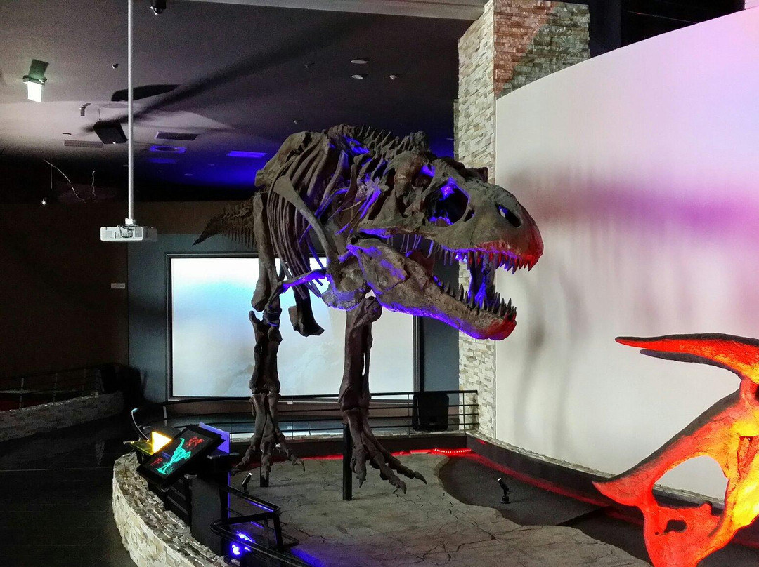 Haenam Dinosaur Museum-海南郡必去景点