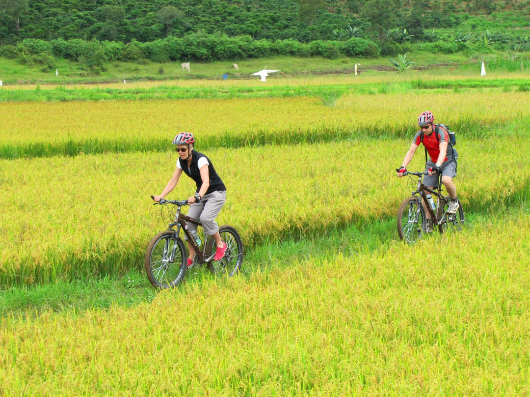 高地假日旅行-大勒必去景点