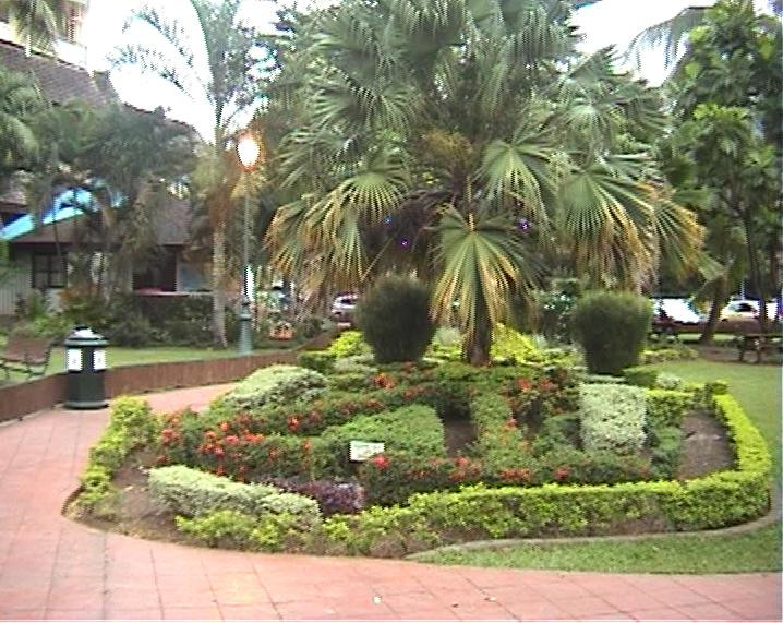 Bougainville Park景点图片