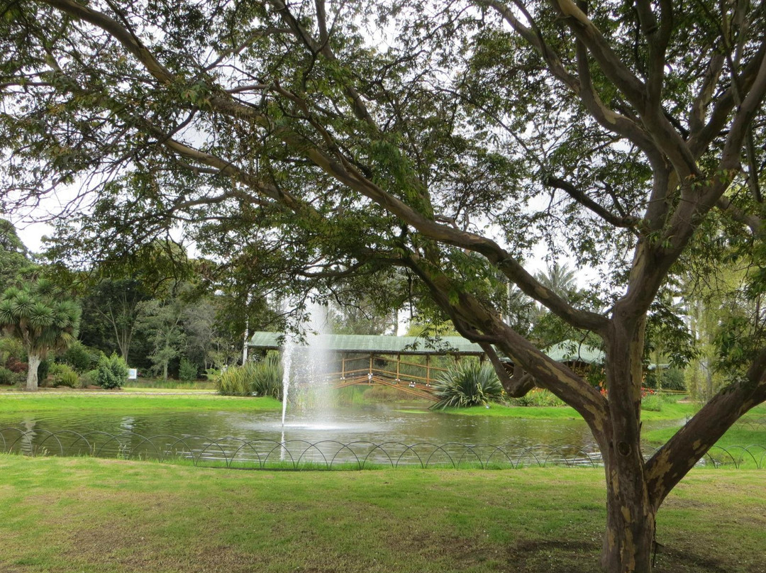 Jardin Botanico de Bogota Jose Celestino Mutis-波哥大必去景点