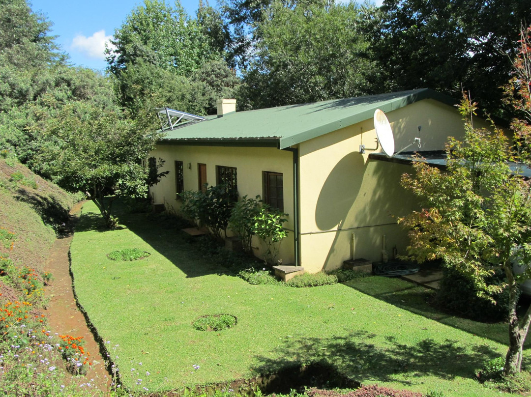 Toad Hall Cottages