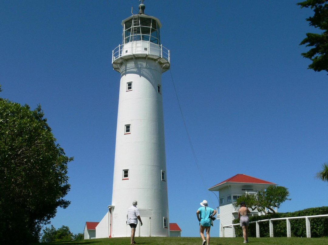 蒂利蒂利马唐伊岛-奥克兰中心地区必去景点